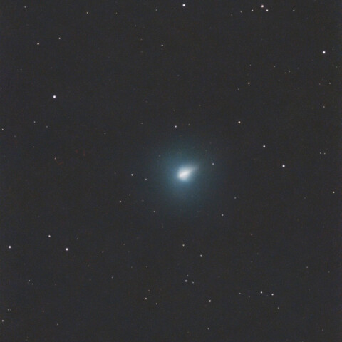 220P/McNaught(2026)