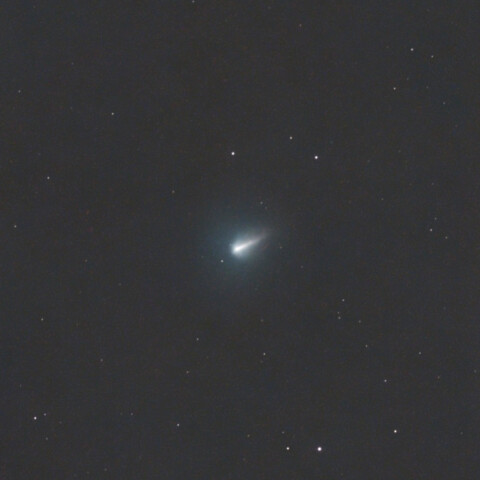 220P/McNaught(2026)
