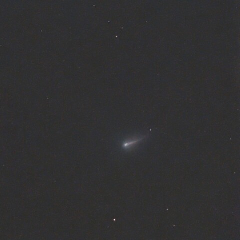 220P/McNaught(2026)