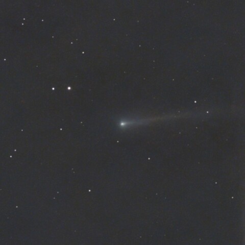 220P/McNaught