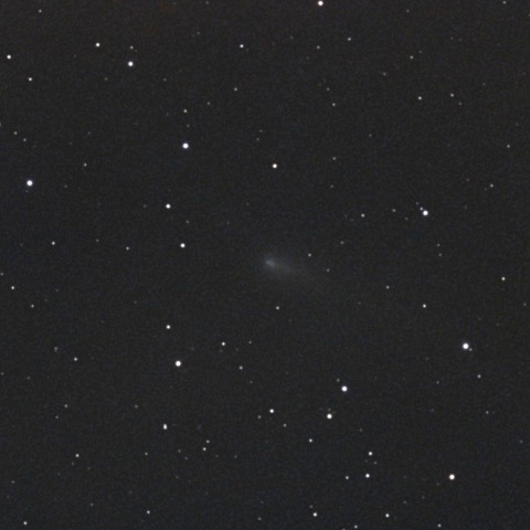 220P/McNaught