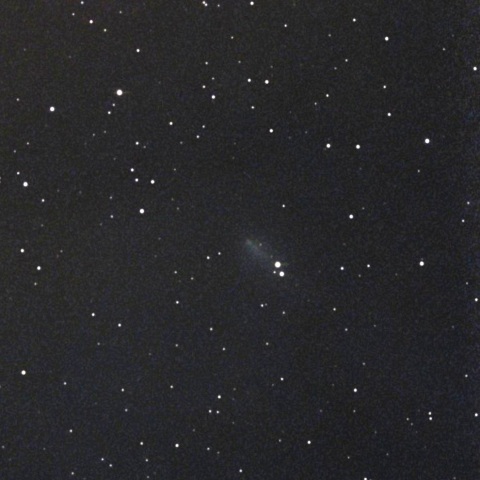 220P/McNaught