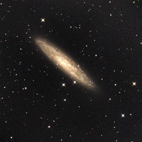 NGC253 渦巻銀河　ちょうこくしつ座