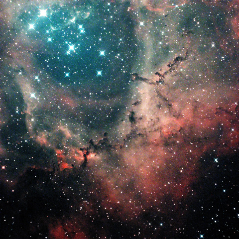 NGC2237ばら星雲のグロビュール