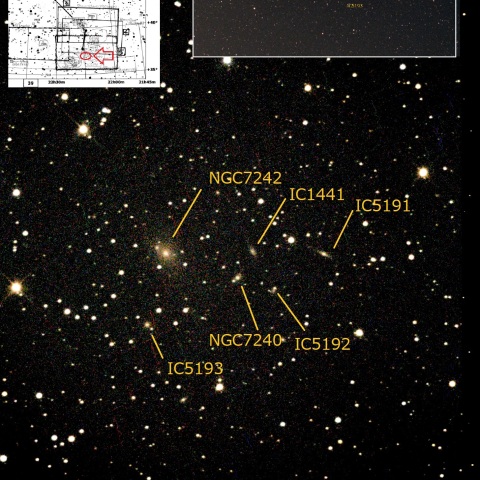 NGC7242他　とかげ座系外銀河団