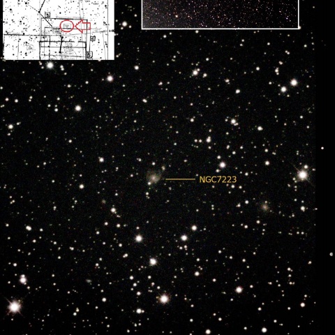 NGC7223 とかげ座系外銀河