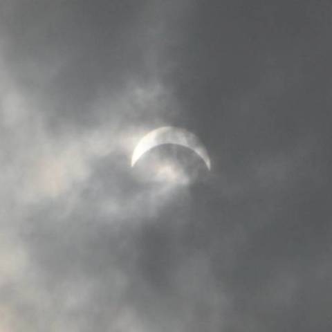 嘉興市近くの部分食