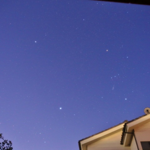 お部屋からおはよう♪狩人さんたち！