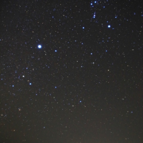 新年のカノープス