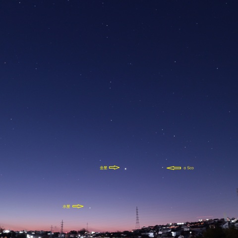 Ven-Mer-αSco_2024-0112-0552