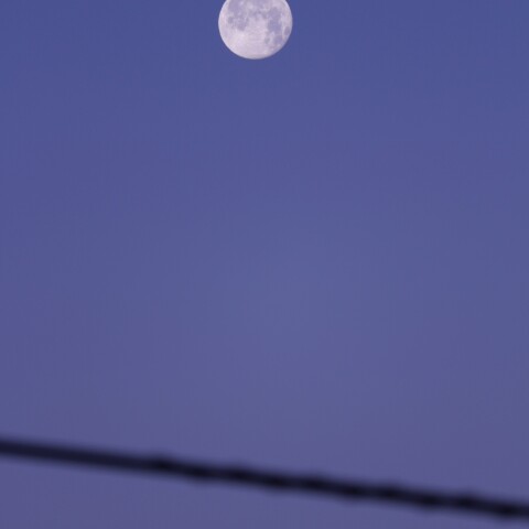 Moon_2024-0127-0649