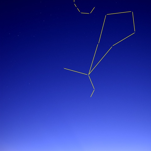 Venus-αVir_2024-0917-1831