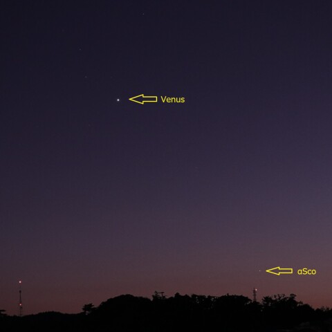 Ven-αSco_2024-1103-1731
