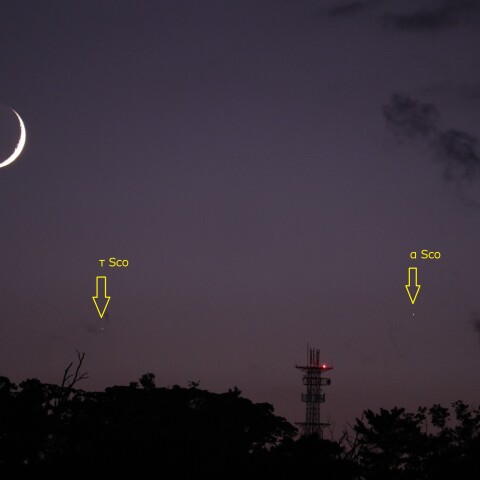 Moon-αSco_2024-1104-1730