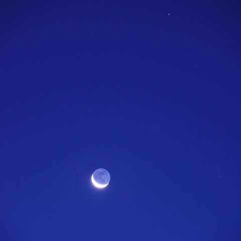 Moon-αVir 2024-1128-0546