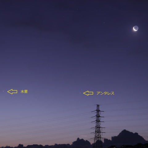 Moon-αSco-Mer_2024-1228-0558