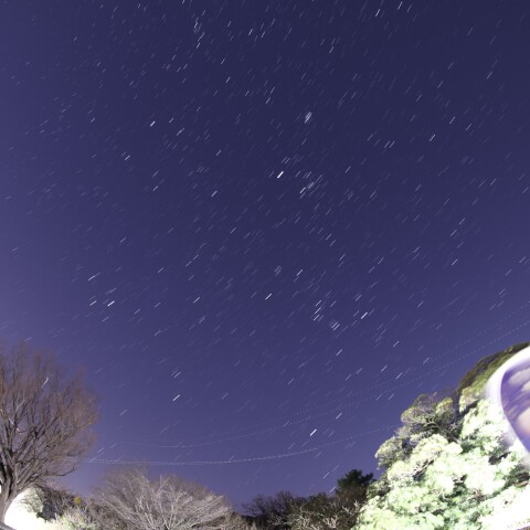 冬の星座_2025-0129-1826~1831