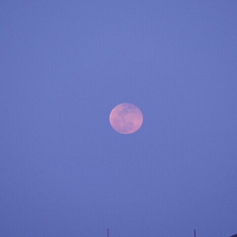 Moon_2025-0314-1803