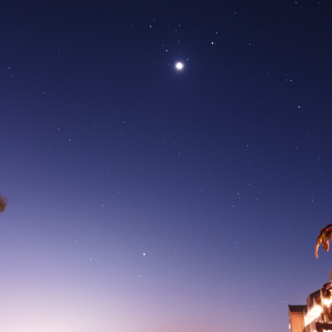 Moon-Jup-Ven-αLeo_2025-0917-0430