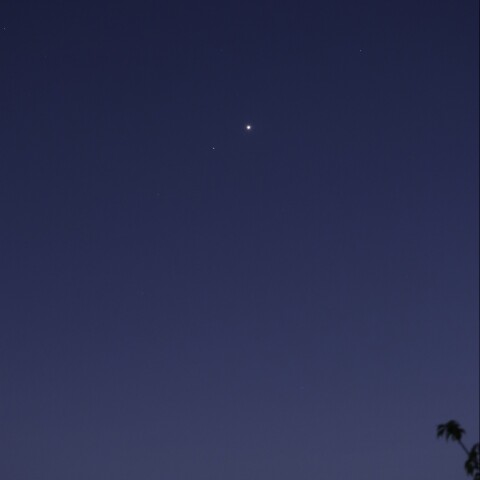 Ven-α Leo_2026-0709-2006