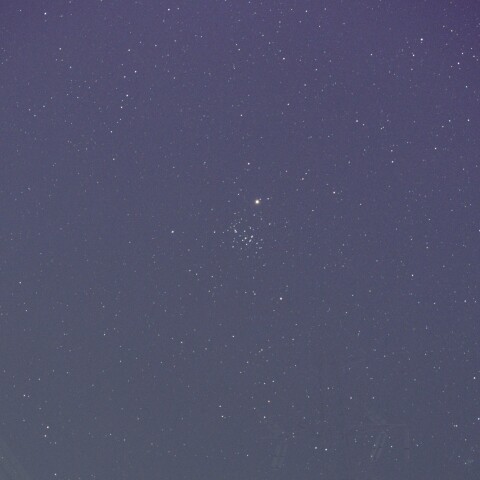 Mars-M44_2026-1010-0338~0341