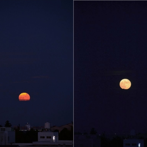 Moon_20221010_1743-48