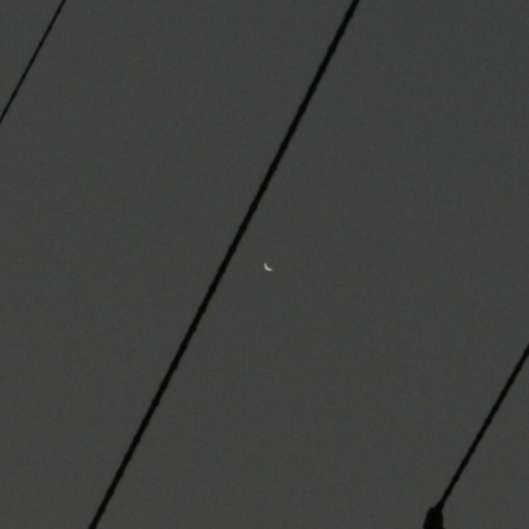 Venus_2023-0824-0515