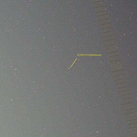 C/2023 P1(Nishimura)_2023-0826-0400~01