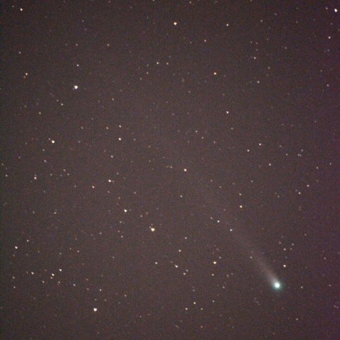 ラブジョイ彗星 (C/2013 R1)