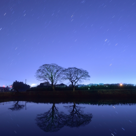西の野原の泉にて