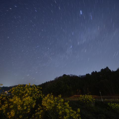 夜空は夏の気配