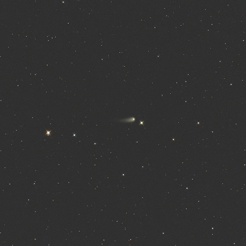 紫金山・アトラス彗星 (C/2023A3)  2024/05/09