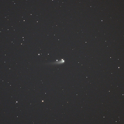 紫金山・アトラス彗星 (C/2023A3)  2024/05/10