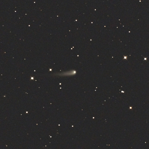 紫金山・アトラス彗星 (C/2023A3) 2024/05/28