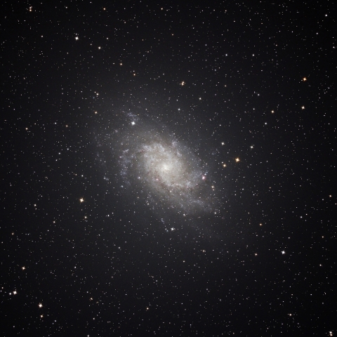 M33渦巻銀河　2024/09/01
