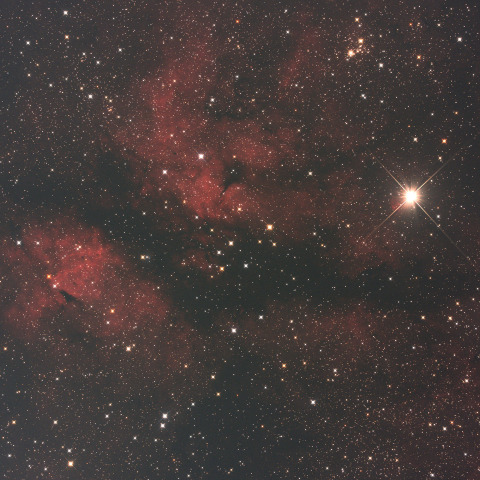 はくちょう座ガンマ星付近　2024/09/02