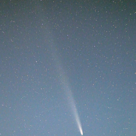 紫金山・アトラス彗星  (C/2023A3)  2024/10/18