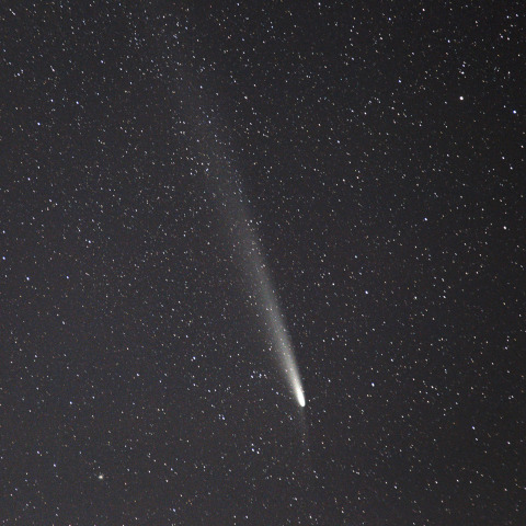 紫金山・アトラス彗星  (C/2023A3)  2024/10/21