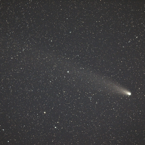 紫金山・アトラス彗星  (C/2023A3)  2024/11/02