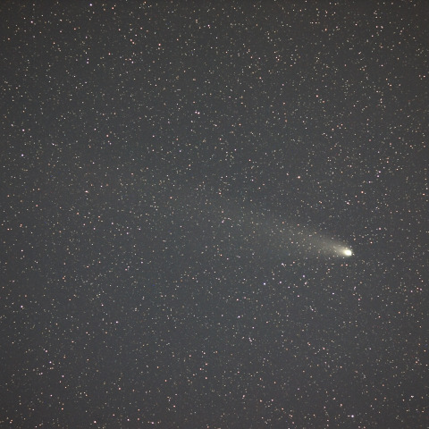 紫金山・アトラス彗星 (C/2023A3)  2024/11/04
