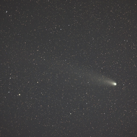 紫金山・アトラス彗星  (C/2023A3)  2024/11/07