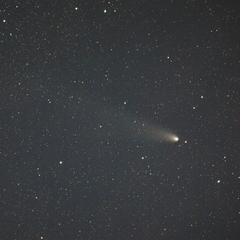 紫金山・アトラス彗星  (C/2023A3)  2024/11/11