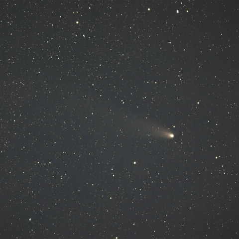 紫金山・アトラス彗星  (C/2023A3)  2024/11/12