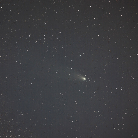 紫金山・アトラス彗星  (C/2023A3)  2024/11/25