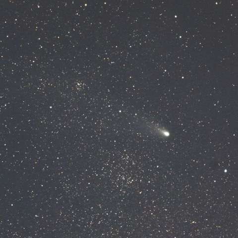 紫金山・アトラス彗星  (C/2023A3)  2024/11/30