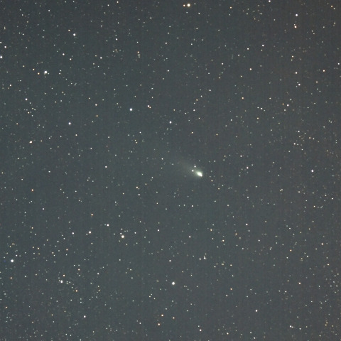 紫金山・アトラス彗星  (C/2023A3)  2024/12/03