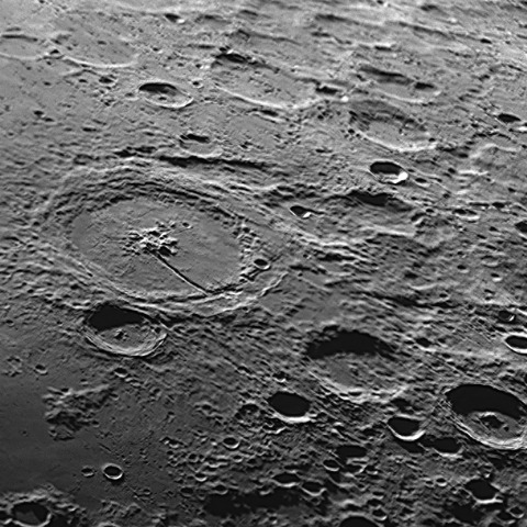 ベタビウス付近 2025/06/29