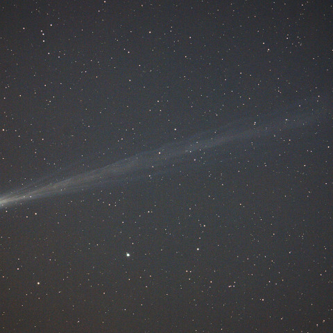 パンスターズ彗星 (C/2025 R3) 2026/04/16