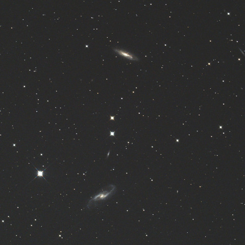 NGC4527・NGC4536 2026/05/13