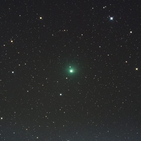 テンペル第2彗星 (10P) 2026/08/13